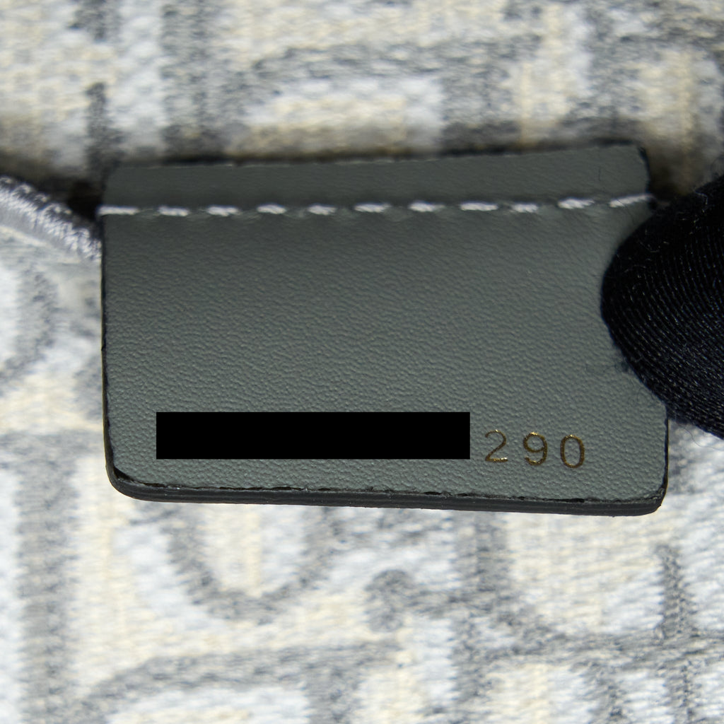 DIOR SADDLE SLIM POUCH LIGHT GREY DIOR OBLIQUE EMBROIDERY