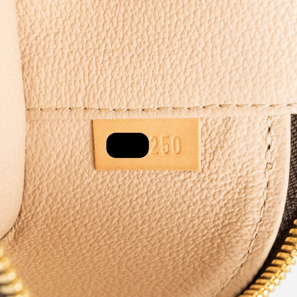 LOUIS VUITTON NICE NANO MONOGRAM CANVAS GHW