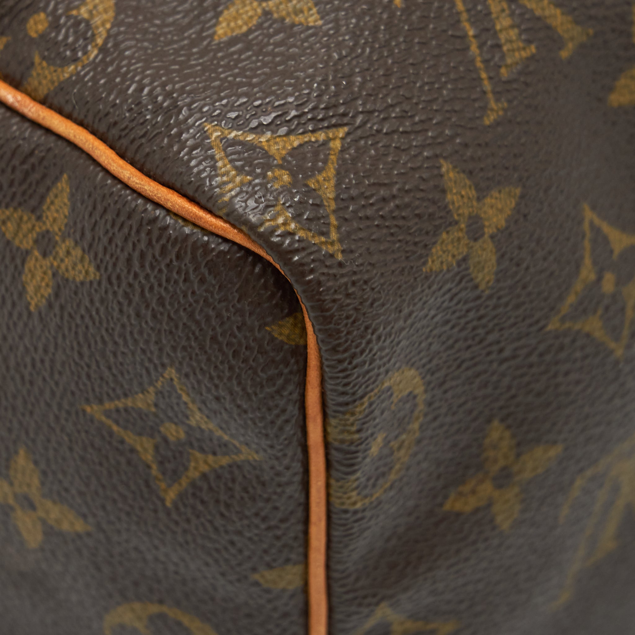 LOUIS VUITTON SPEEDY 25 MONOGRAM CANVAS GHW