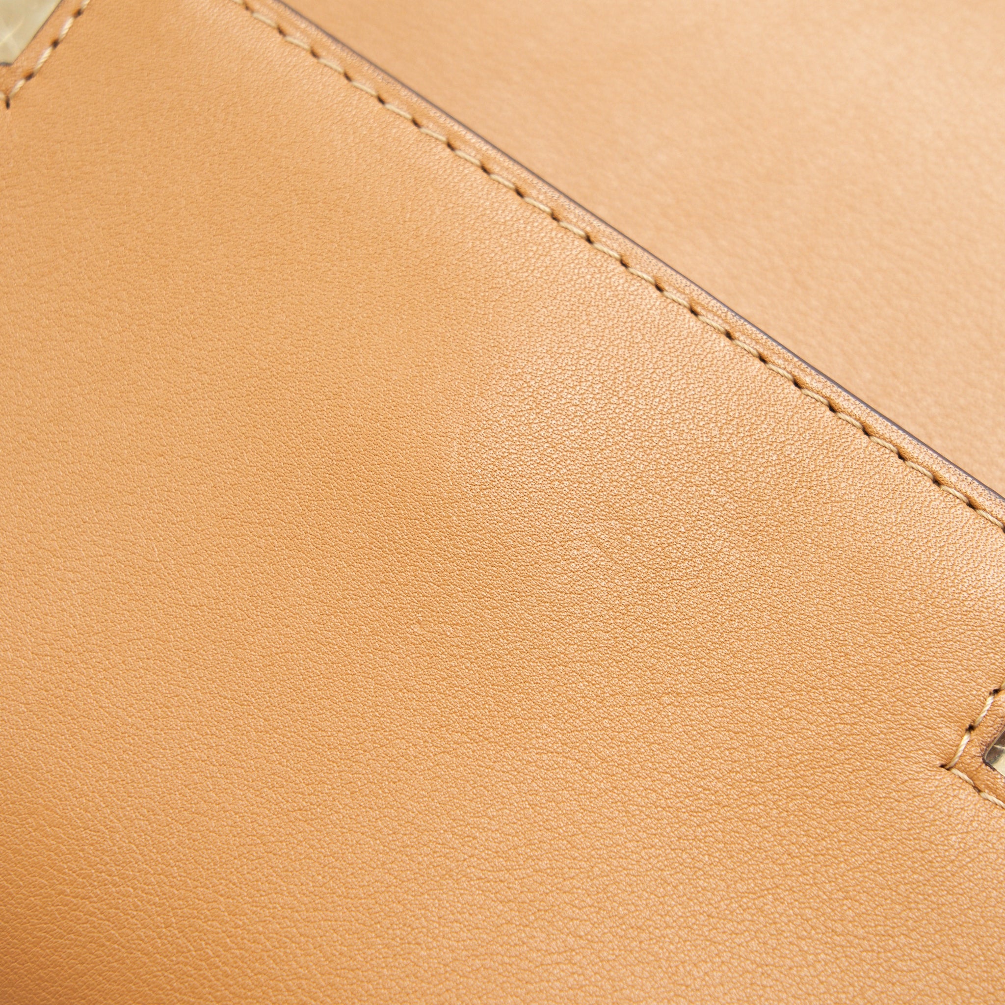 DELVAUX TEMPETE TOTE BAG CARAMEL WITH LGHW