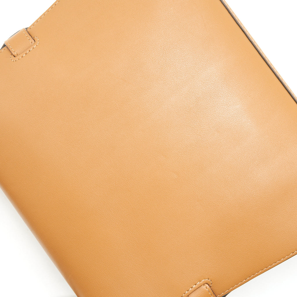 DELVAUX TEMPETE TOTE BAG CARAMEL WITH LGHW