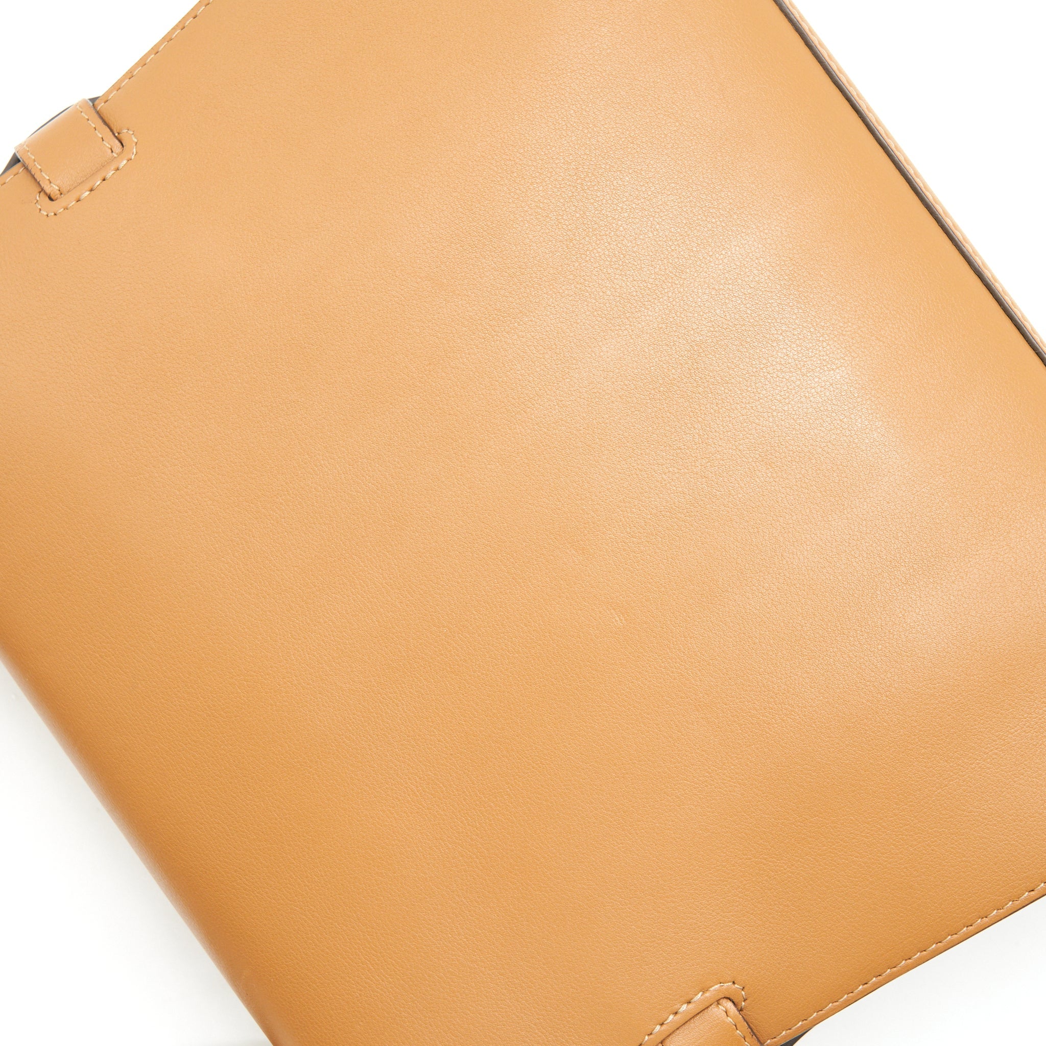 DELVAUX TEMPETE TOTE BAG CARAMEL WITH LGHW
