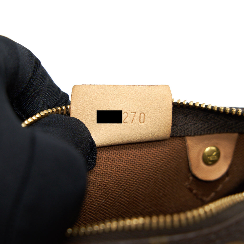 LOUIS VUITTON NANO SPEEDY MONOGRAM CANVAS