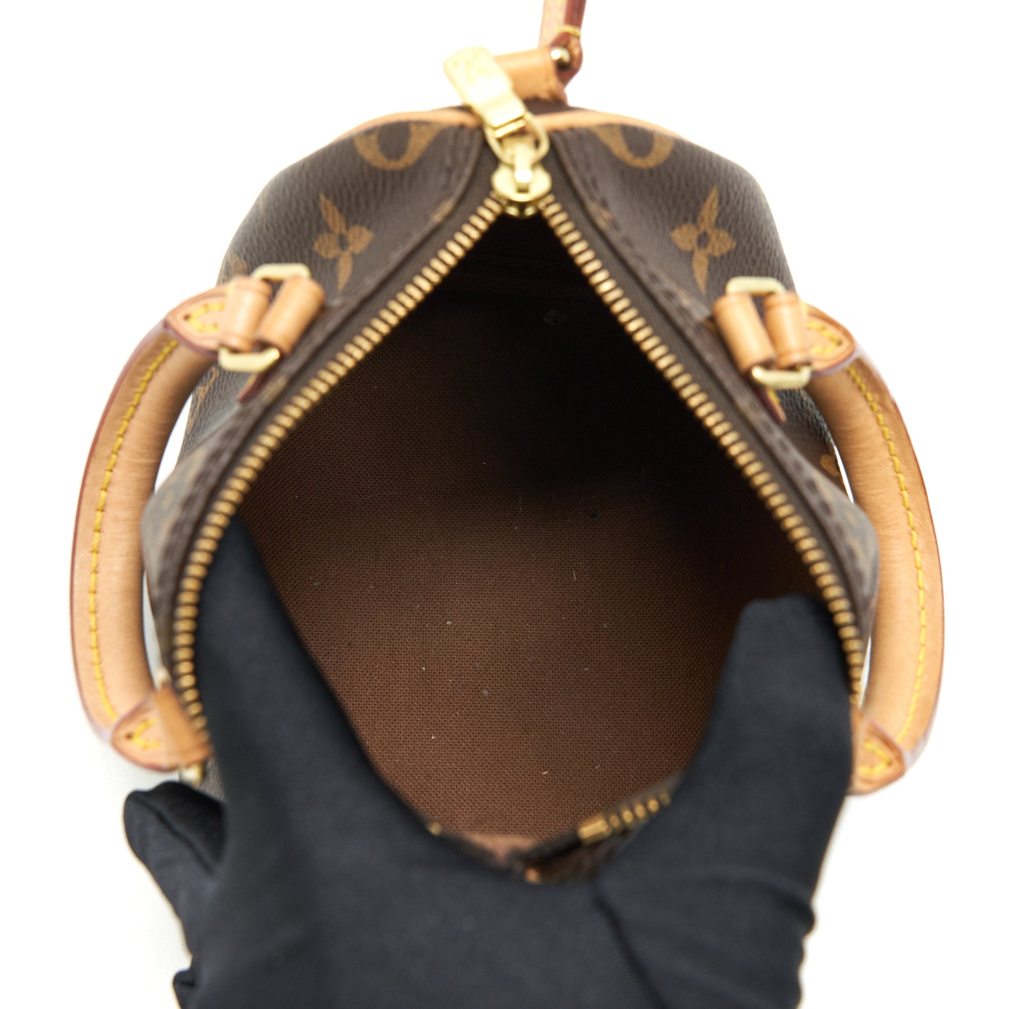 LOUIS VUITTON NANO SPEEDY MONOGRAM CANVAS