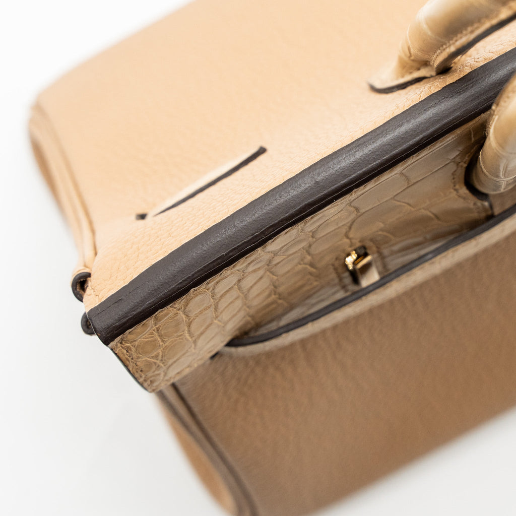 HERMES TOUCH BIRKIN 25 ALLIGATOR MISSISSIPPIENSIS/TOGO CHAI LGHW