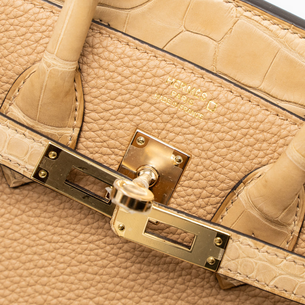HERMES TOUCH BIRKIN 25 ALLIGATOR MISSISSIPPIENSIS/TOGO CHAI LGHW