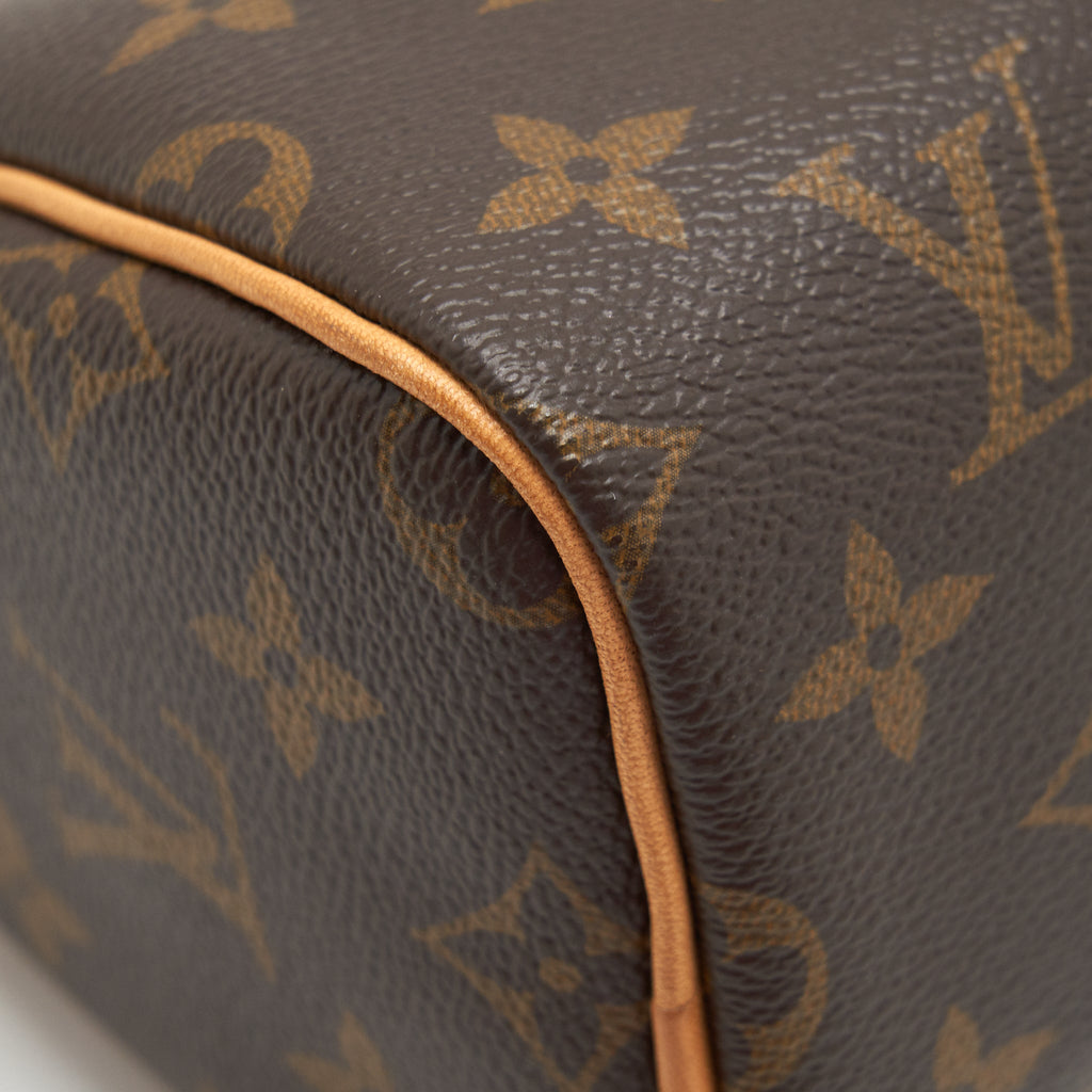 LOUIS VUITTON NANO SPEEDY MONOGRAM