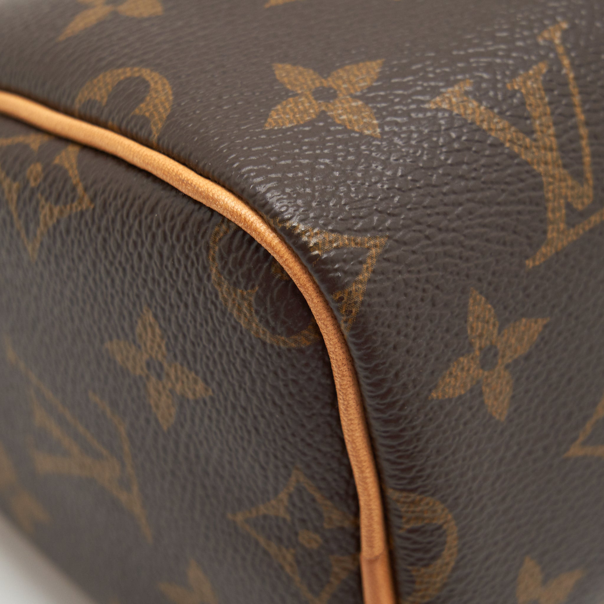 LOUIS VUITTON NANO SPEEDY MONOGRAM