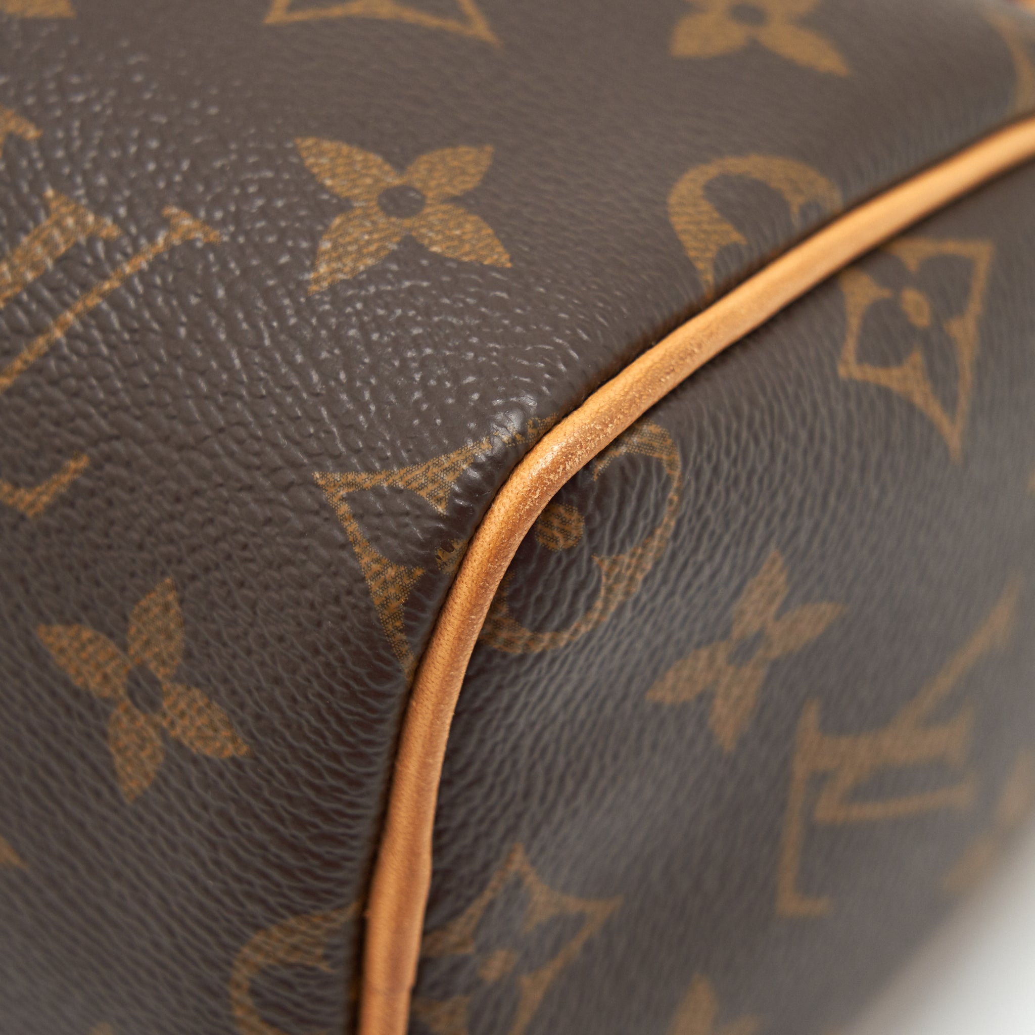 LOUIS VUITTON NANO SPEEDY MONOGRAM