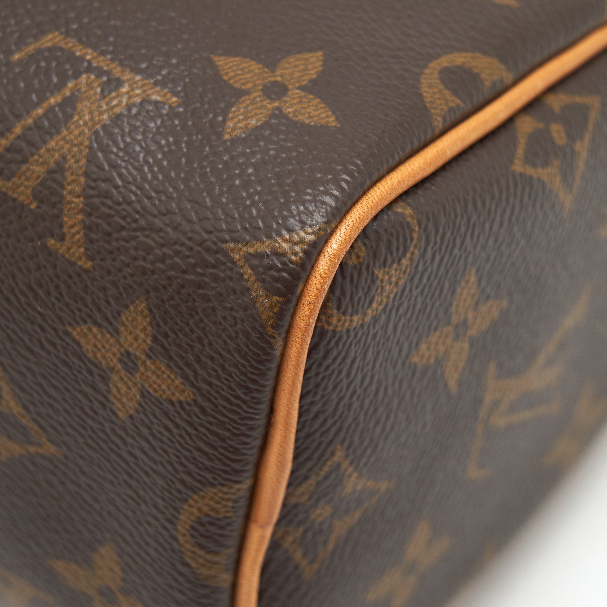 LOUIS VUITTON NANO SPEEDY MONOGRAM