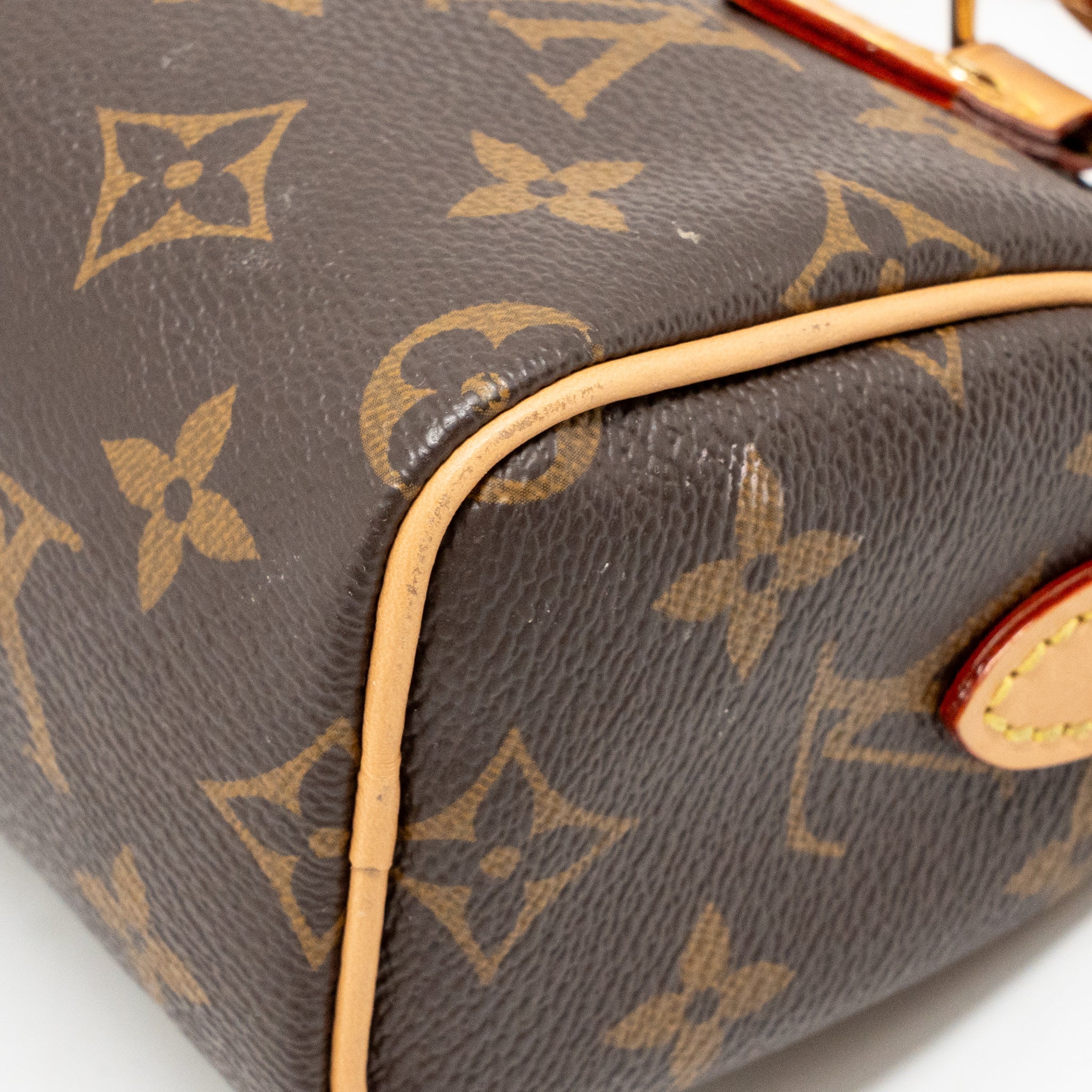 LOUIS VUITTON NANO SPEEDY MONOGRAM CANVAS GHW