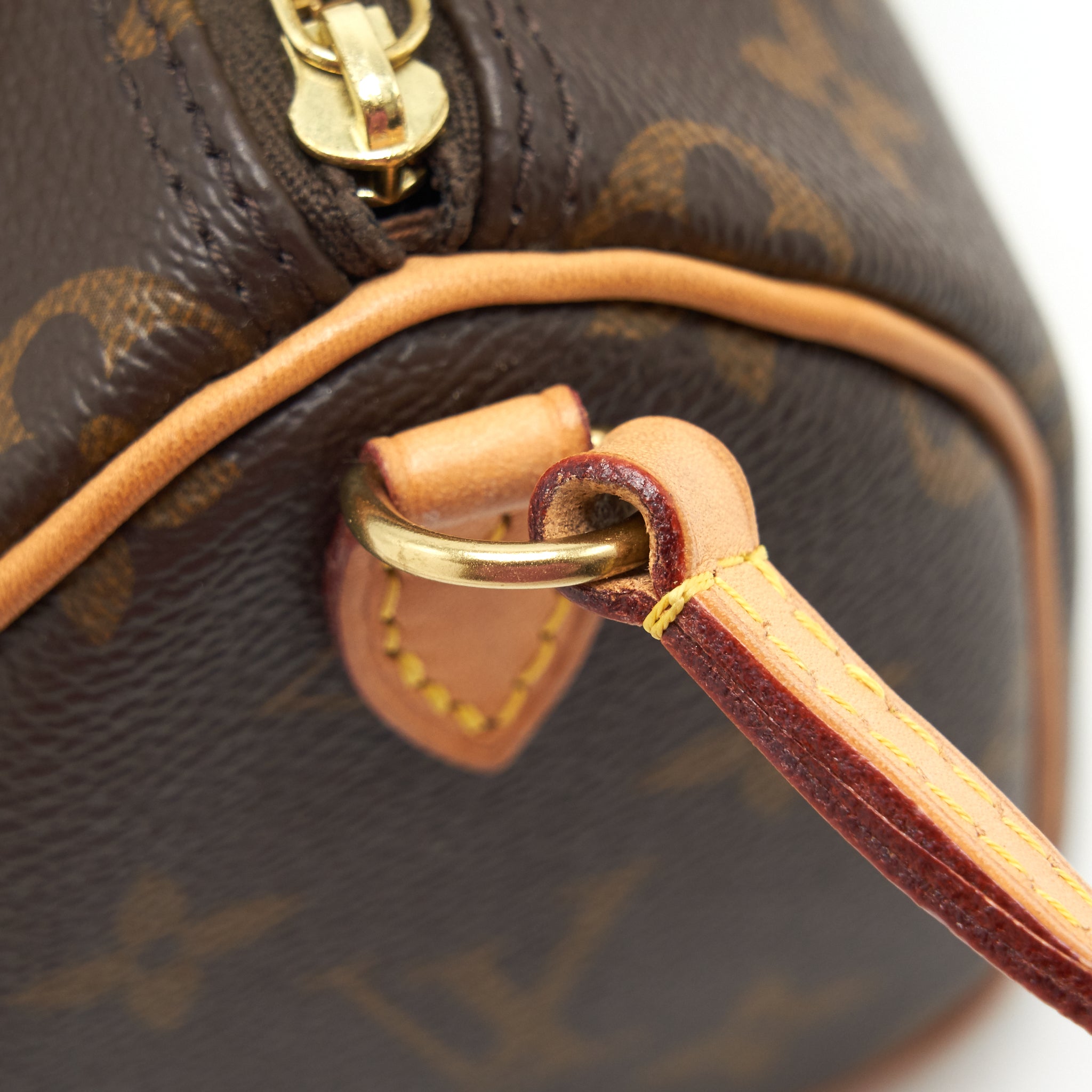 LOUIS VUITTON NANO SPEEDY MONOGRAM