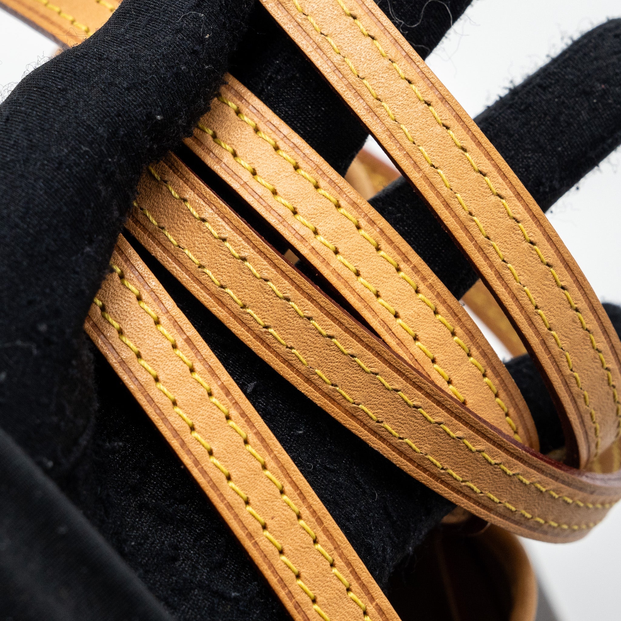 LOUIS VUITTON NANO NOE MONOGRAM CANVAS GHW