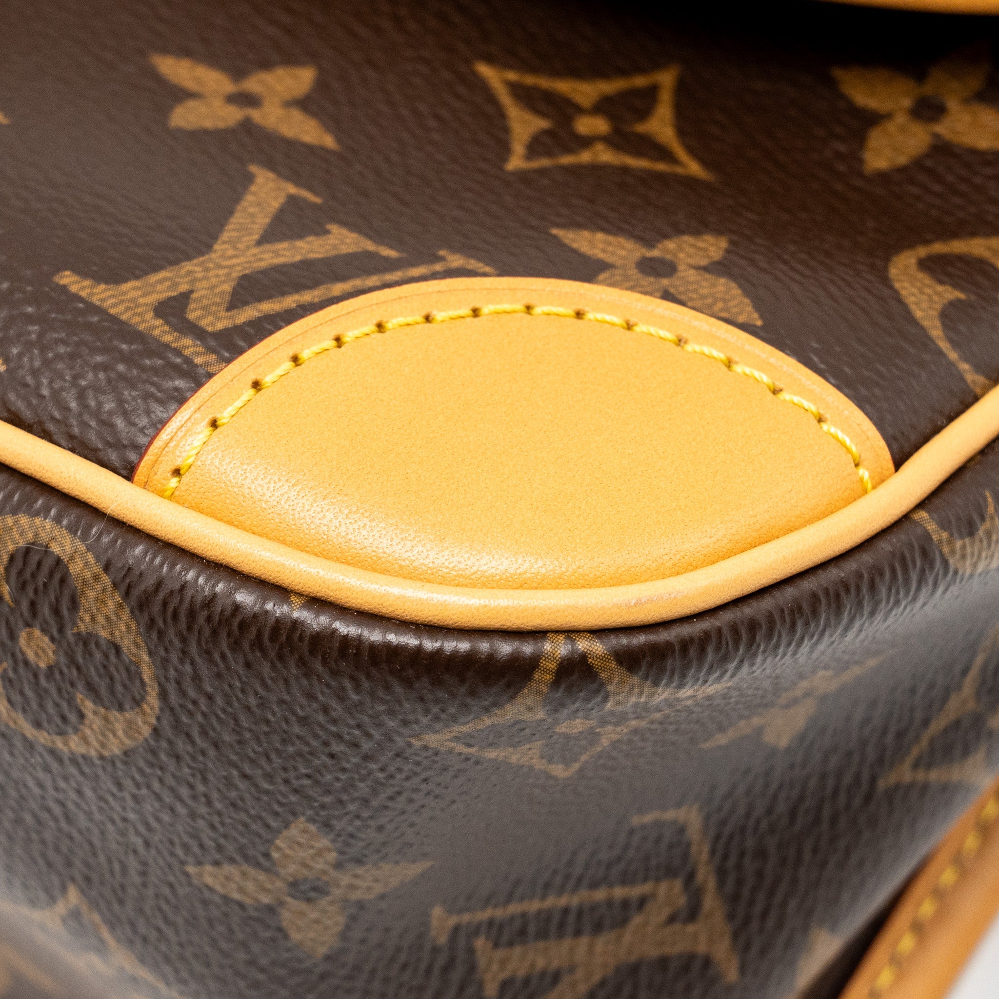 LOUIS VUITTON DIANE BAG WITH FUCHSIA STRAP MONOGRAM CANVAS GHW