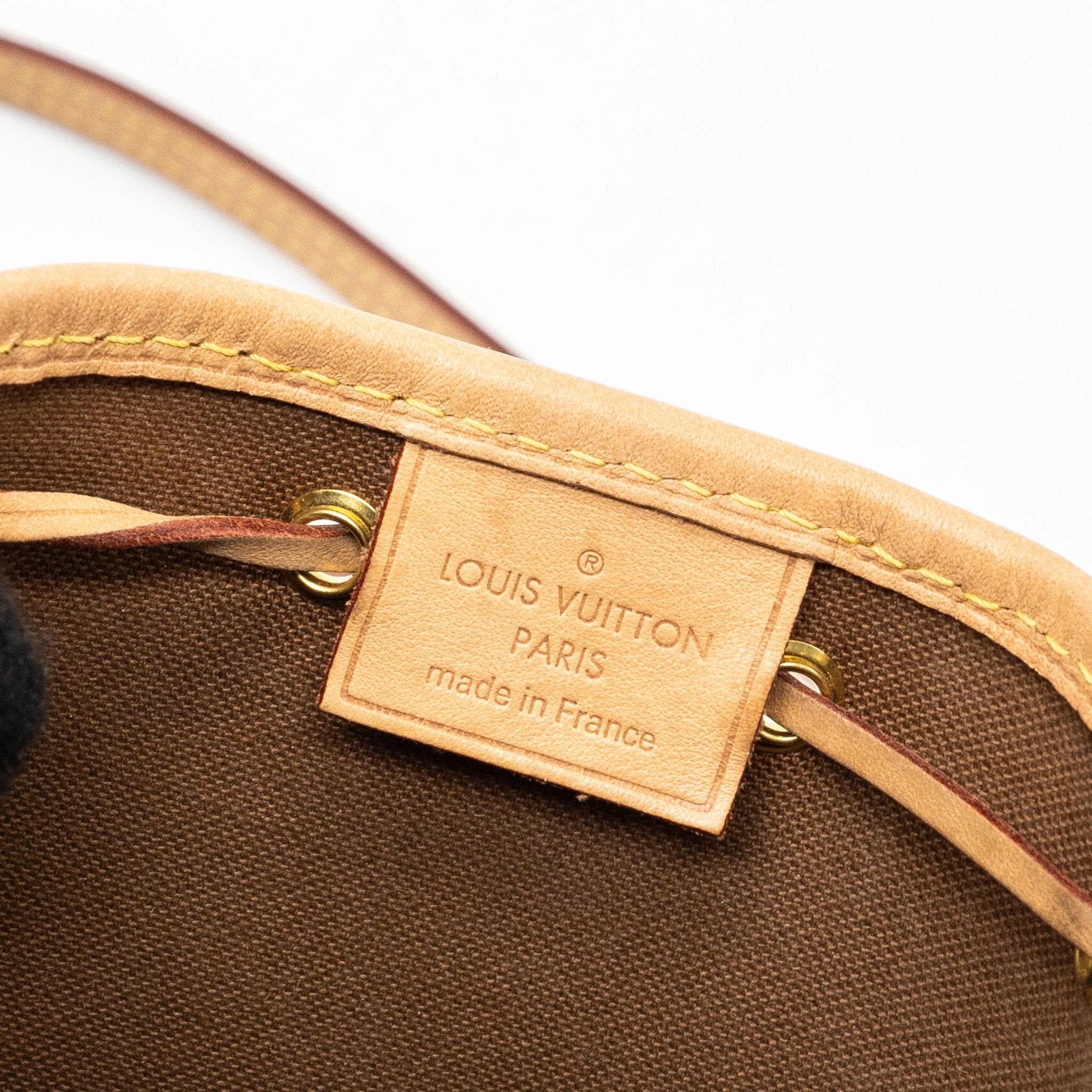 LOUIS VUITTON NANO NOE MONOGRAM CANVAS GHW