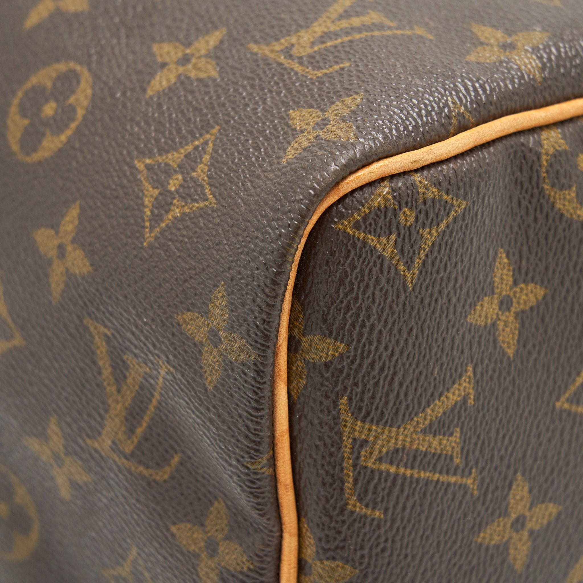 LOUIS VUITTON SPEEDY 30 IN MONOGRAM CANVAS