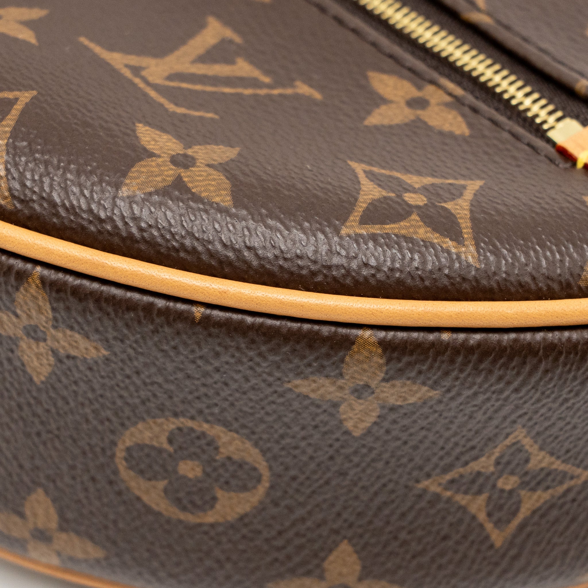 LOUIS VUITTON LOOP BAG MONOGRAM CANVAS GHW