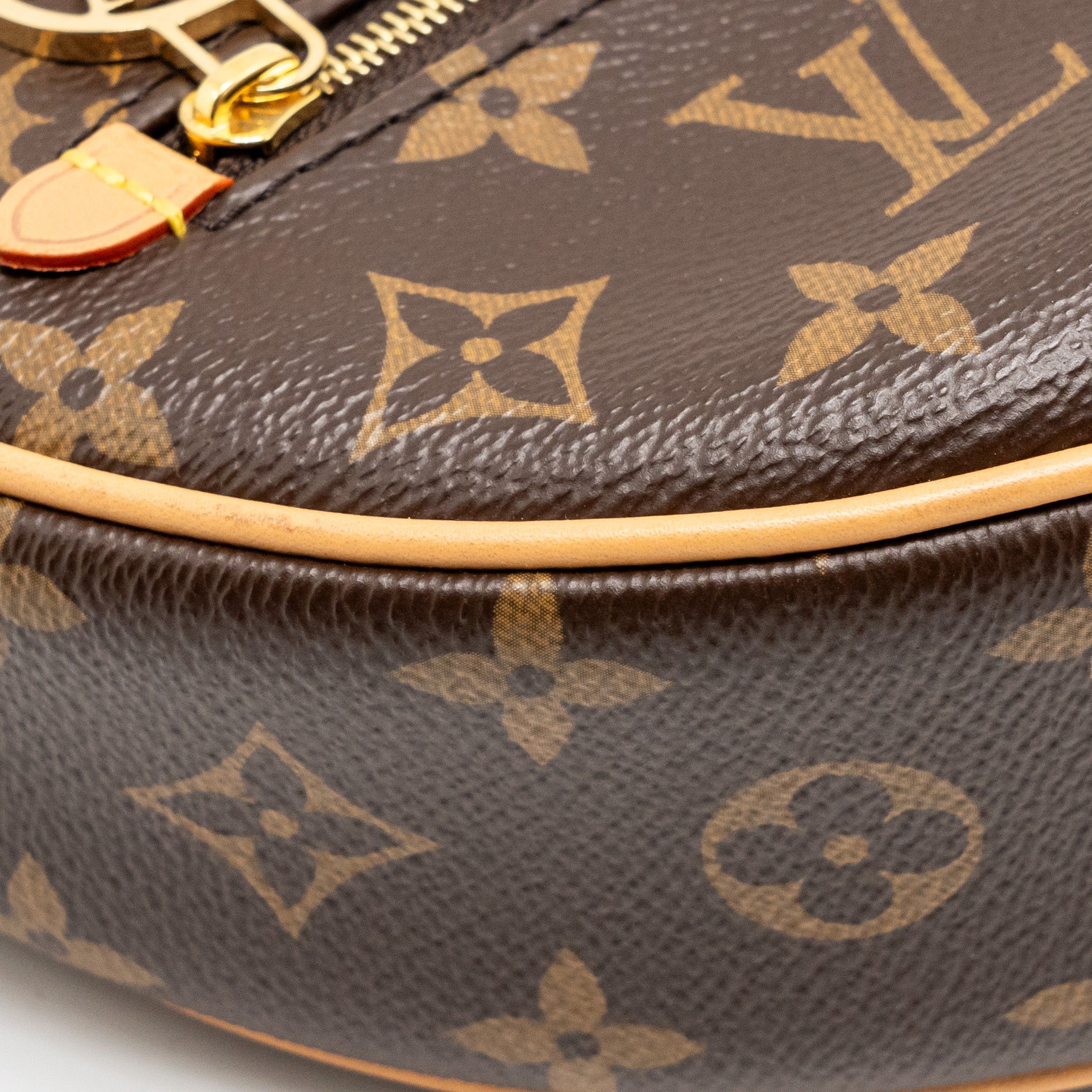 LOUIS VUITTON HALF-MOON LOOP BAGUETTE MONOGRAM CANVAS GHW