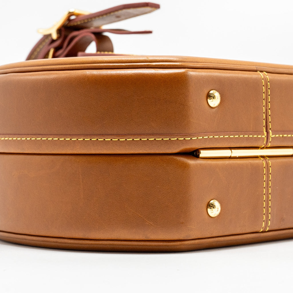 LOUIS VUITTON BOITE CHAPEAU BAG LIMITED EDITION GRACE CODDINGTON CATOGRAM PETIT CALFSKIN BROWN GHW