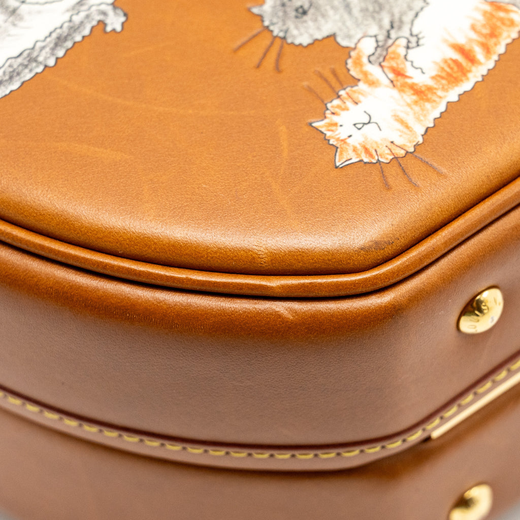 LOUIS VUITTON BOITE CHAPEAU BAG LIMITED EDITION GRACE CODDINGTON CATOGRAM PETIT CALFSKIN BROWN GHW