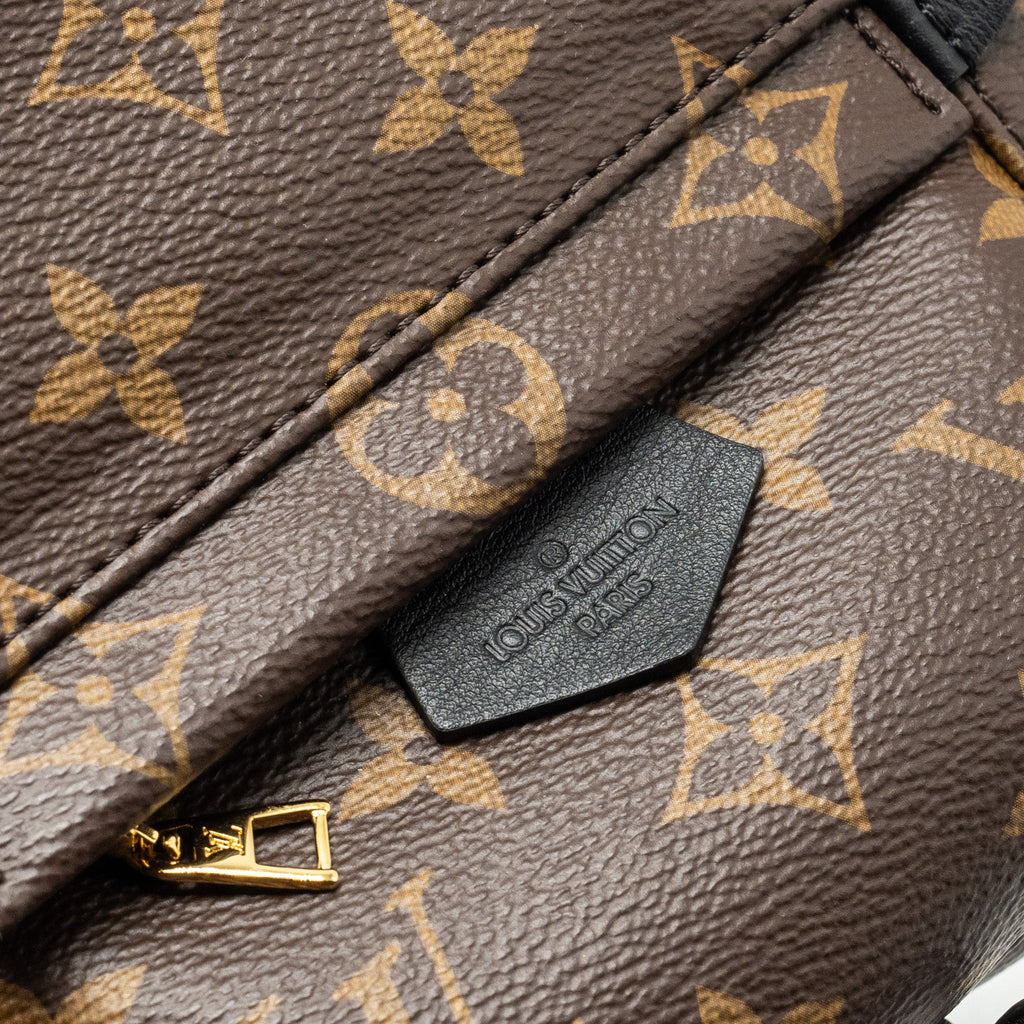 LOUIS VUITTON PALM SPRING MINI BACKPACK MONOGRAM CANVAS