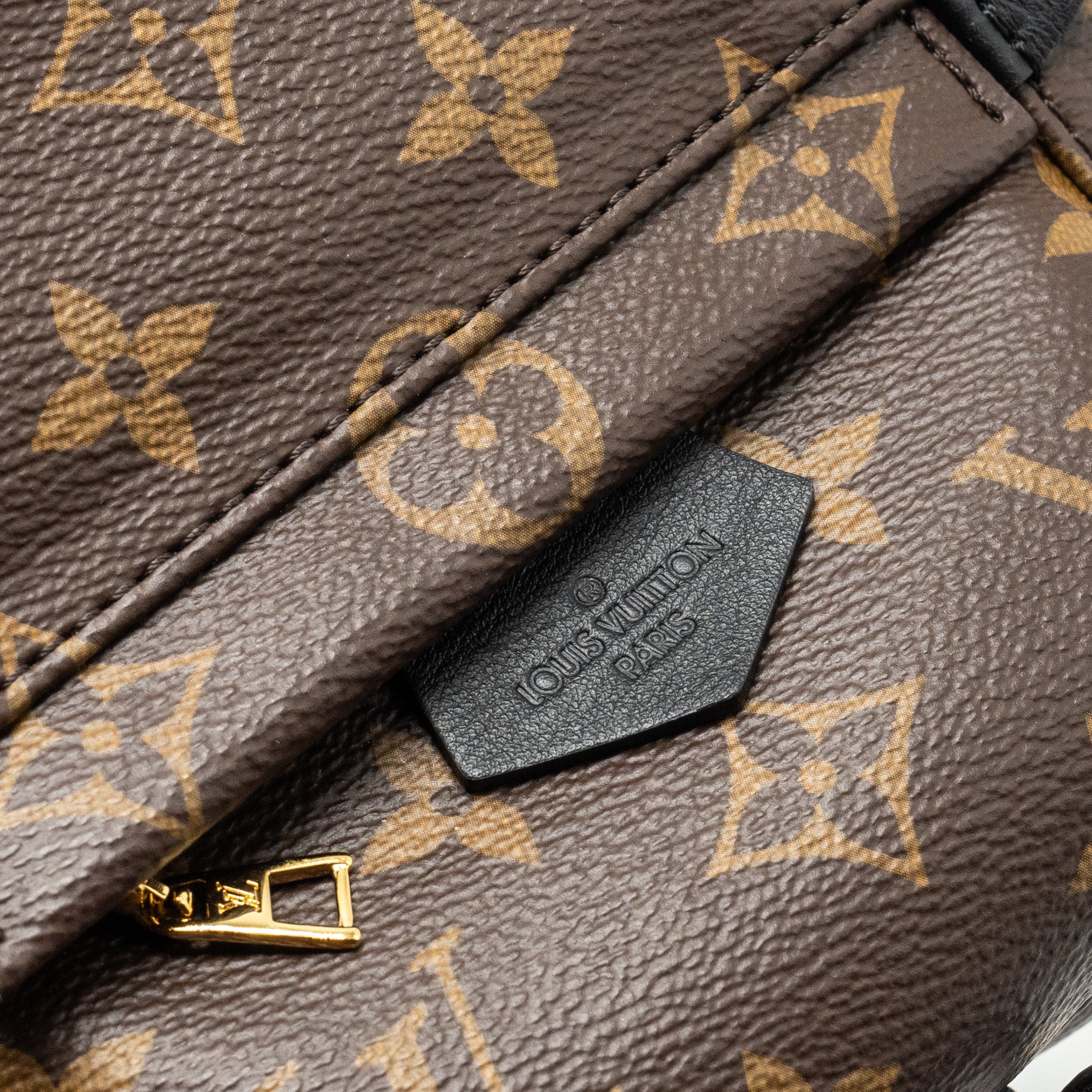 LOUIS VUITTON PALM SPRING MINI BACKPACK MONOGRAM CANVAS
