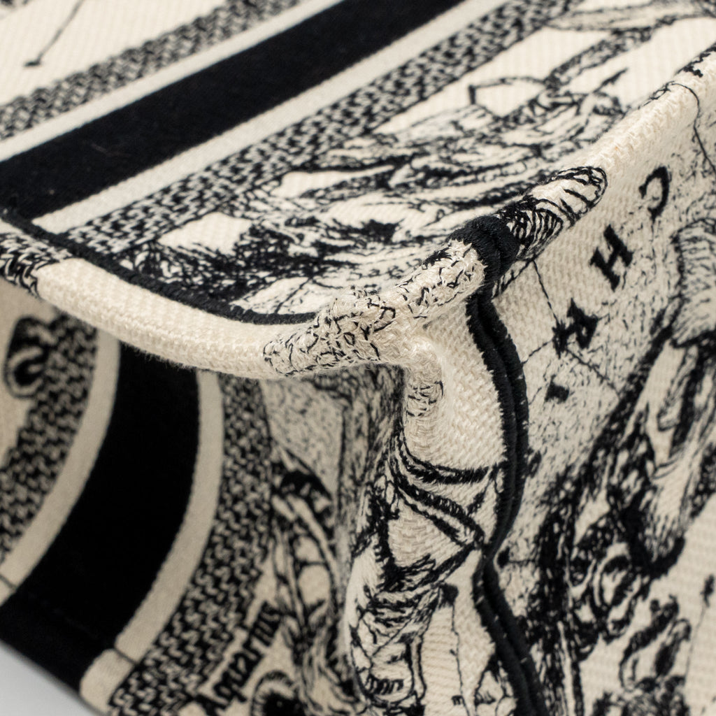 DIOR SMALL DIOR BOOK TOTE DIOR ZODIAC EMBROIDERY CANVAS LATTE/BLACK