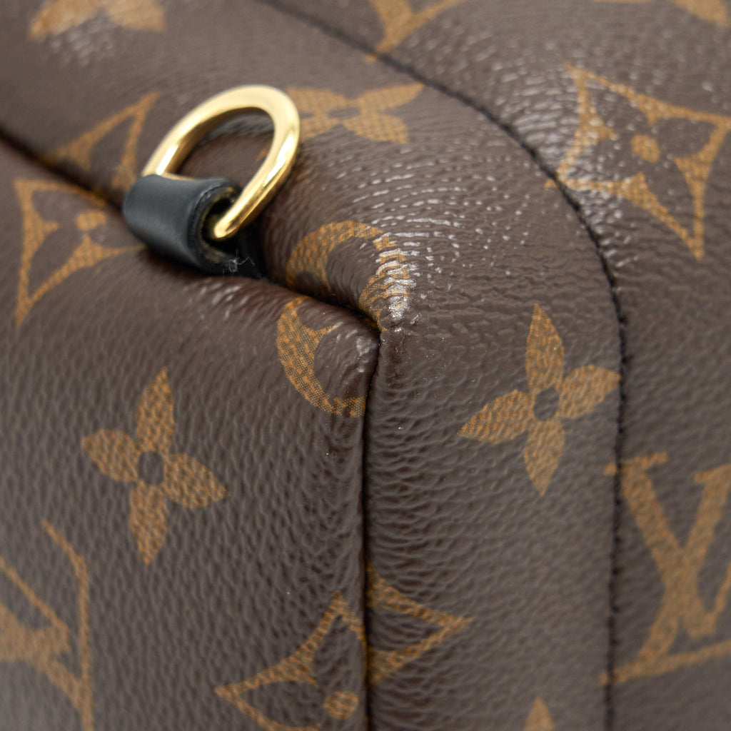 LOUIS VUITTON PALM SPRINGS MINI BACKPACK MONOGAM CANVAS