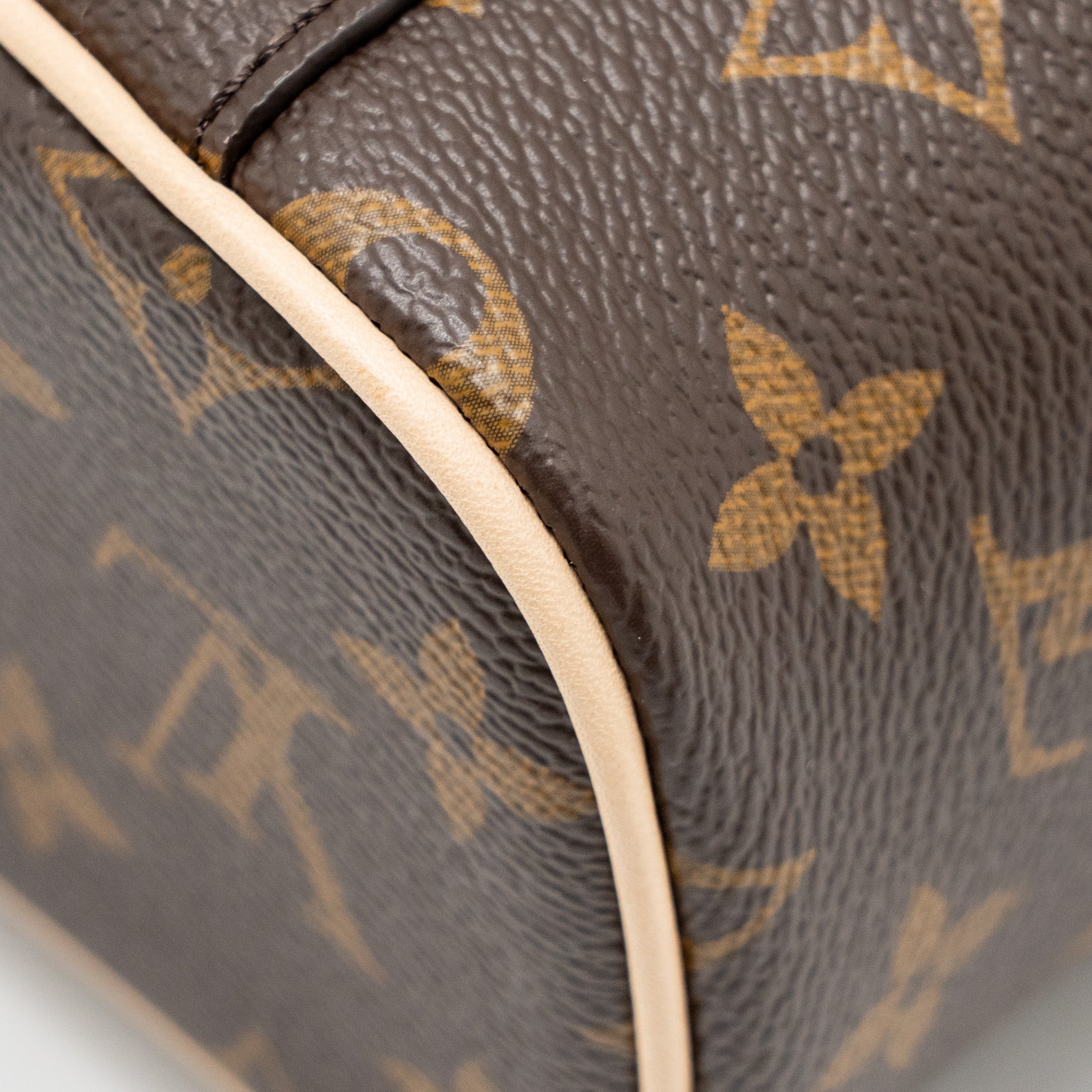 LOUIS VUITTON NICE NANO MONOGRAM CANVAS GHW