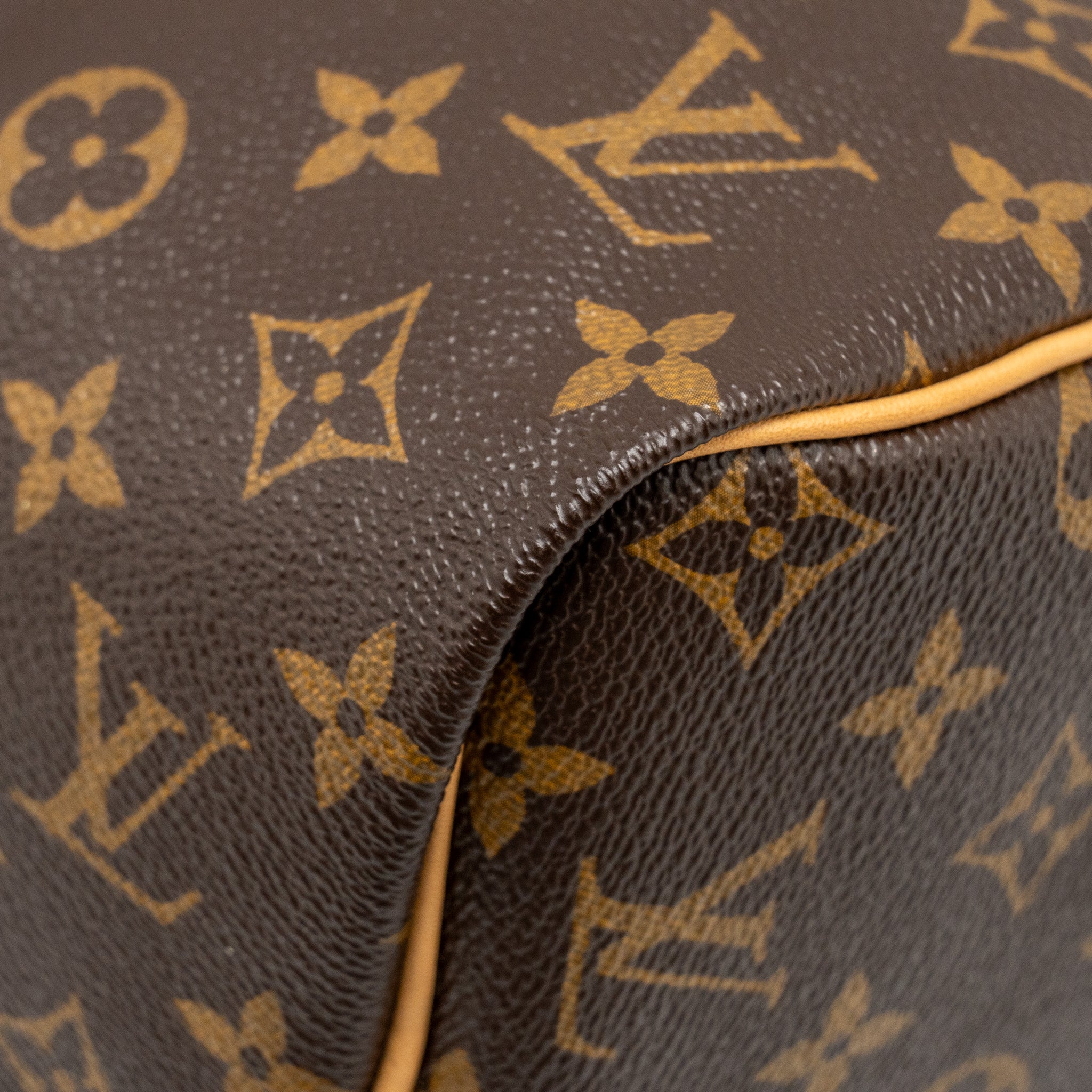 LOUIS VUITTON SPEEDY 30 MONOGRAM CANVAS GHW