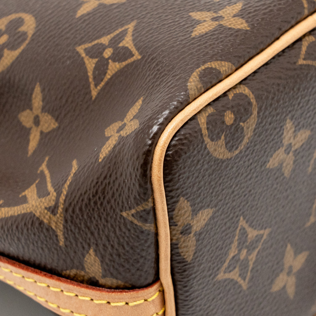 LOUIS VUITTON NANO NOE MONOGRAM CANVAS GHW
