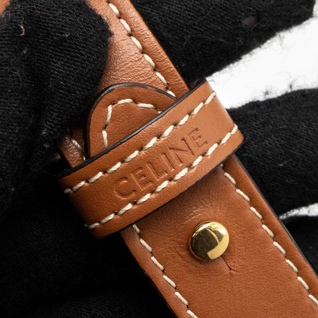 CELINE AVA BAG IN TRIOMPHE CANVAS AND CALFSKIN TAN