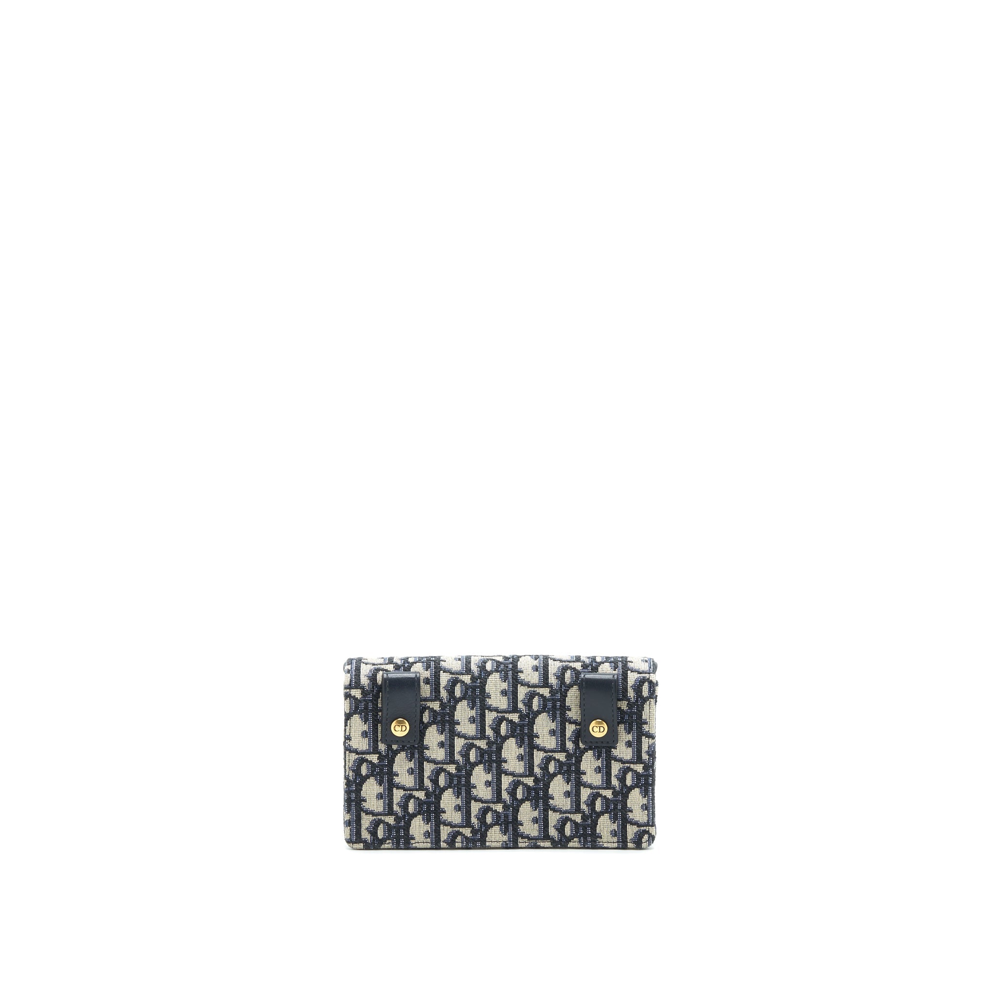 DIOR SADDLE BELT POUCH OBLIQUE