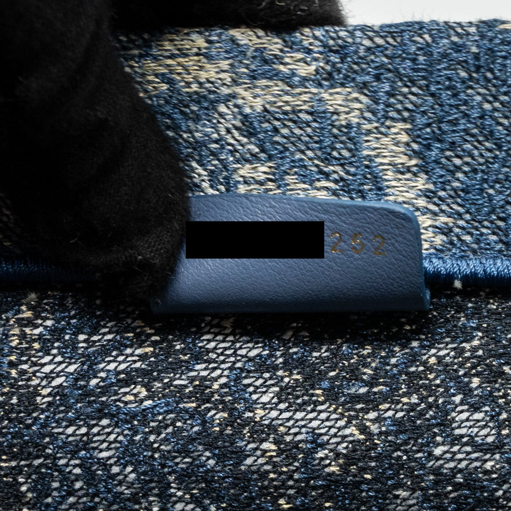 DIOR LARGE BOOK TOTE LIMITED PRINT CANVAS BLUE/ GREY/ MULTICOLOUR