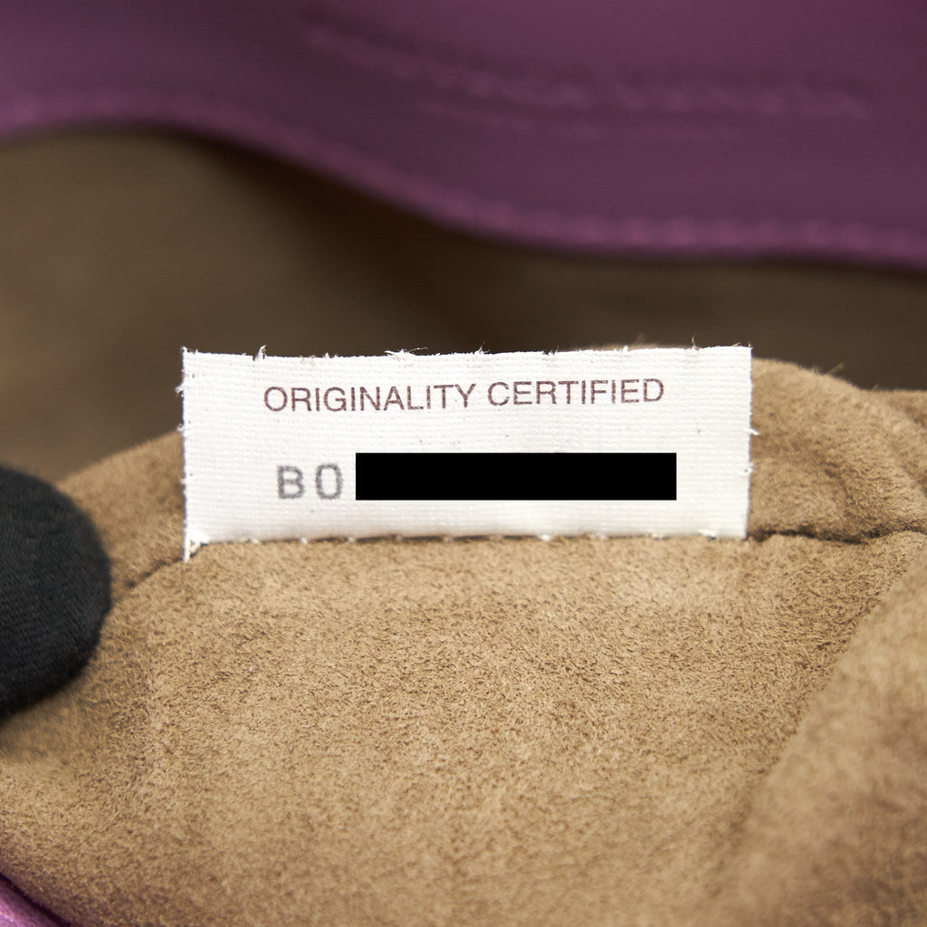 BOTTEGA VENETA SMALL OLYMPIA BAG