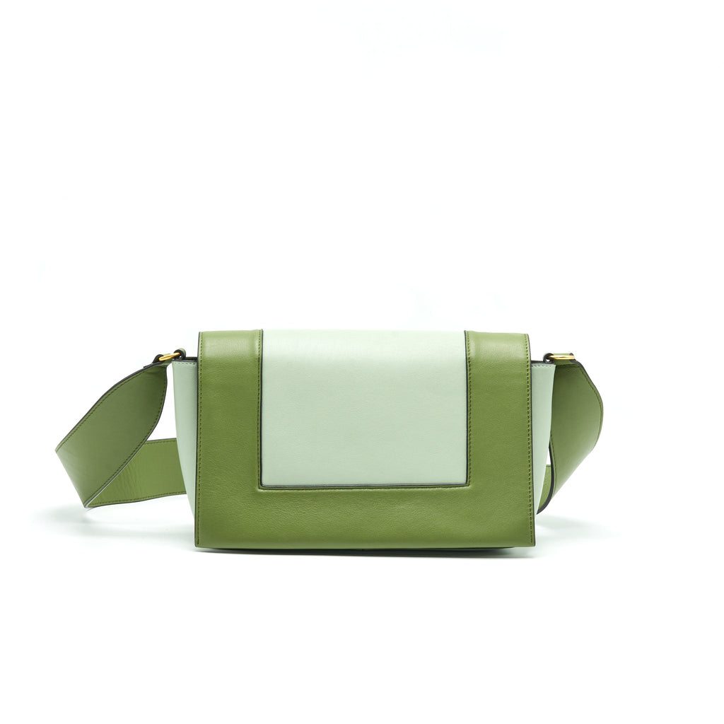 CELINE FRAME BAG SHOULDER BAG GREEN