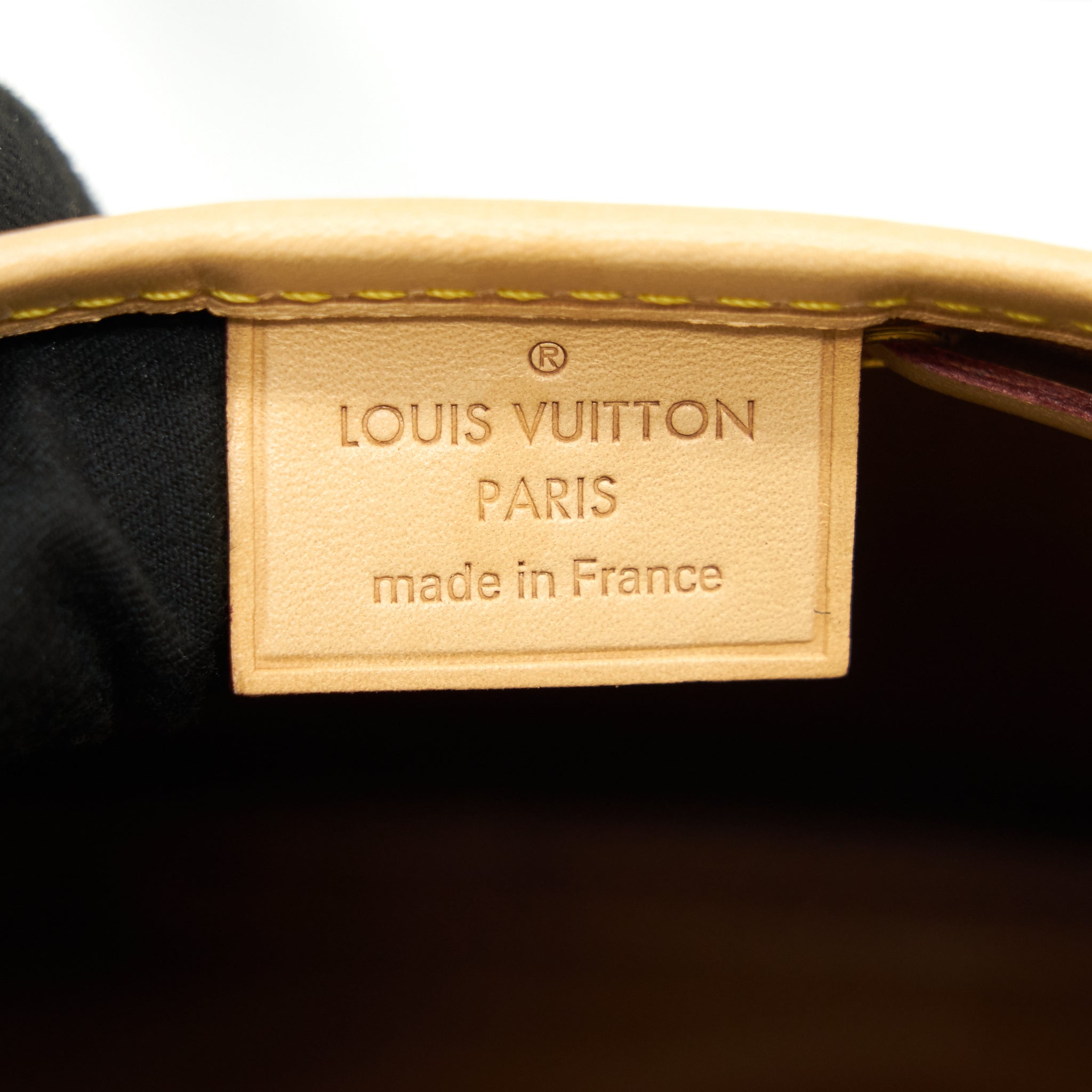 LOUIS VUITTON NANO NOE