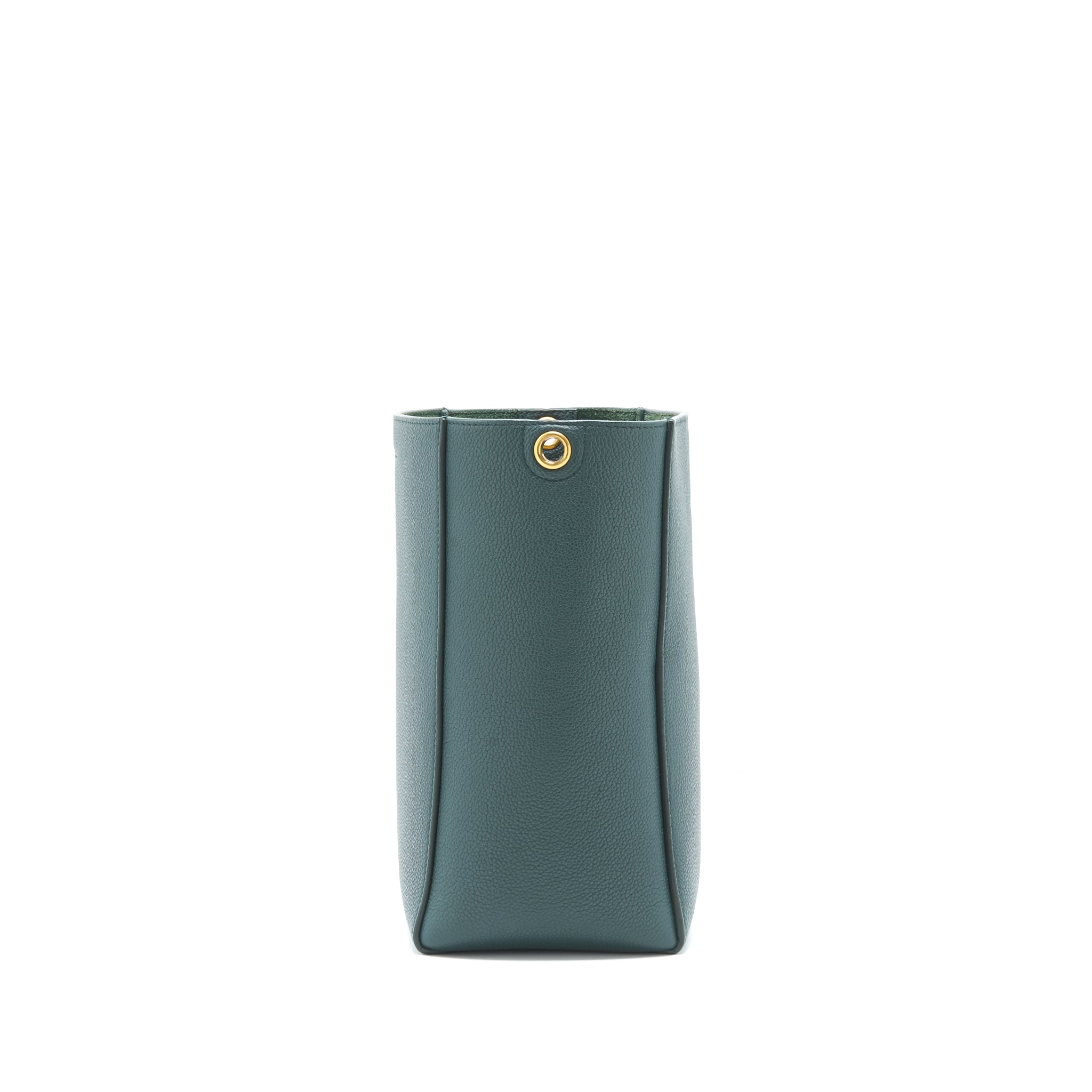 CELINE SMALL SANGLE BUCKET BAG AMAZON GHW