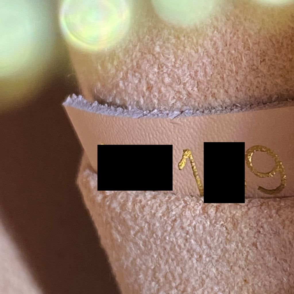 LOUIS VUITTON NEONOE EAMIER EBENE CANVAS