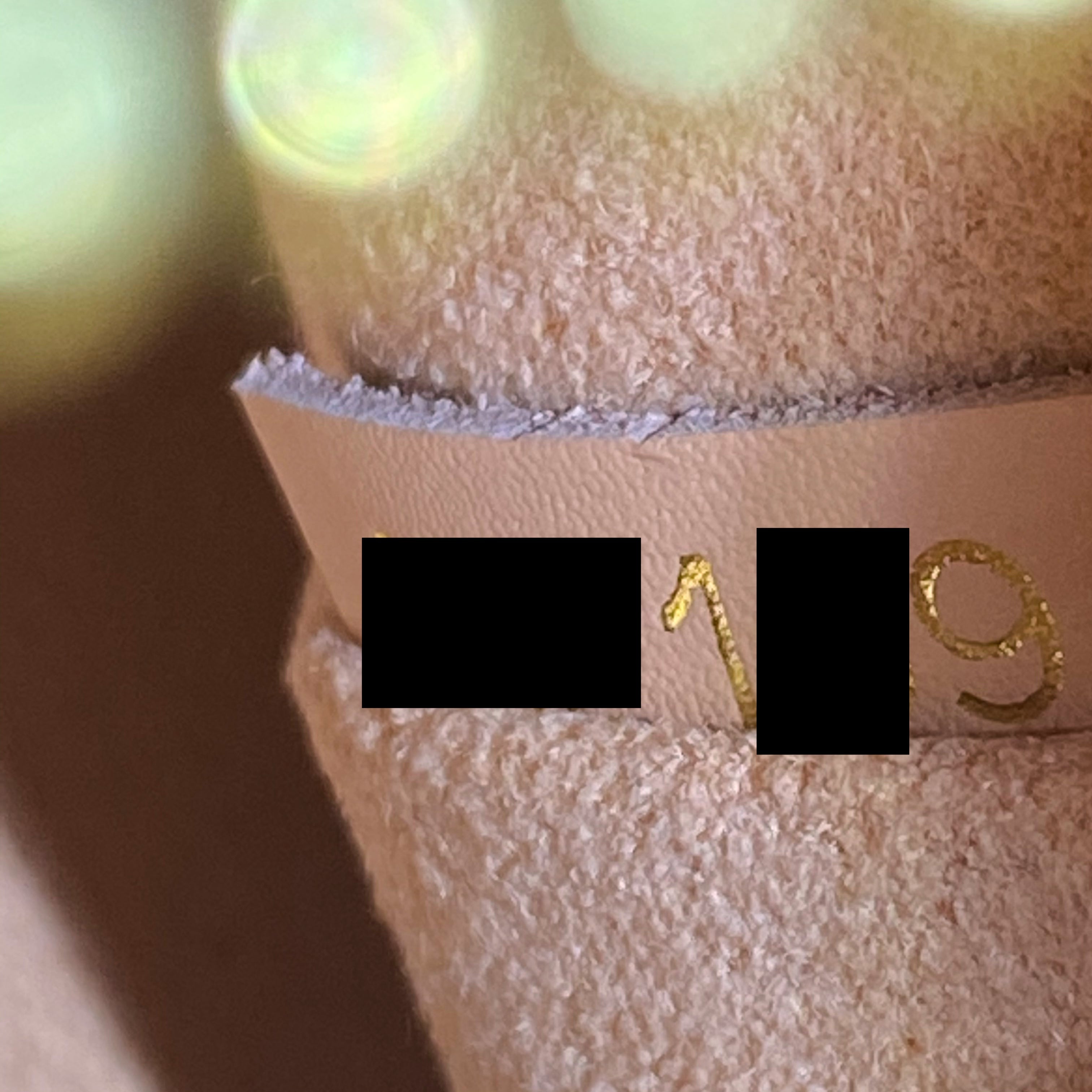 LOUIS VUITTON NEONOE EAMIER EBENE CANVAS