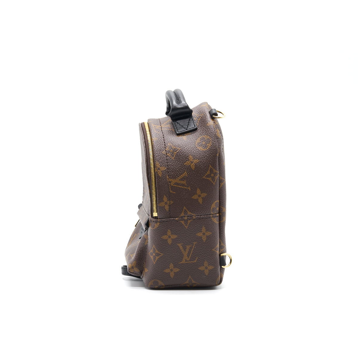 LOUIS VUITTON PALM SPRINGS MINI