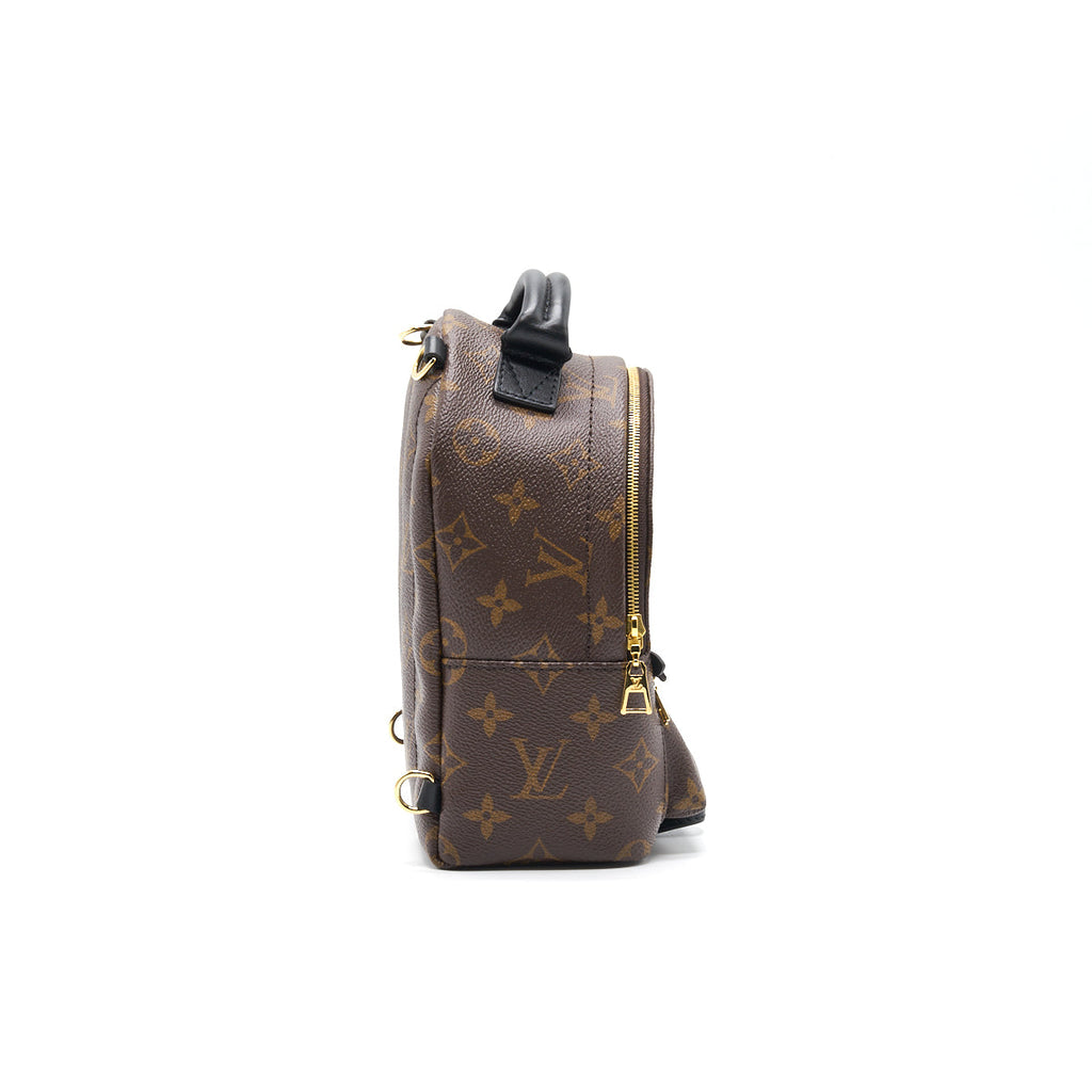 LOUIS VUITTON PALM SPRINGS MINI