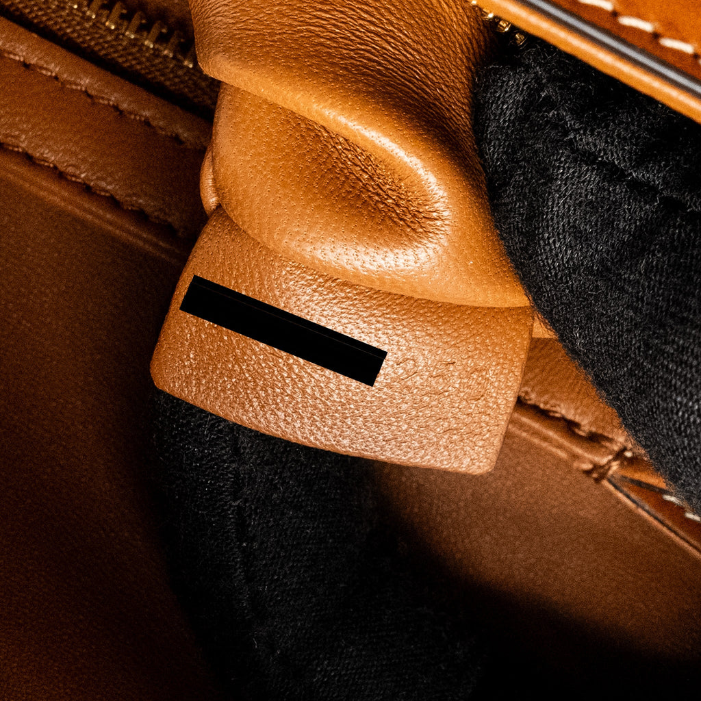 CELINE TEEN TRIOMPHE BAG IN TRIOMPHE CANVAS / CALFSKIN BROWN / MULTICOLOUR GHW