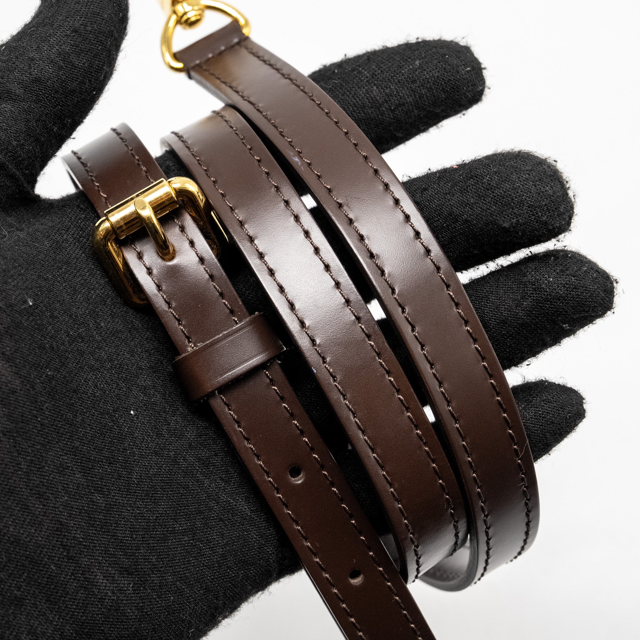 LOUIS VUITTON SIENA PM DAMIER EBENE CANVAS GHW