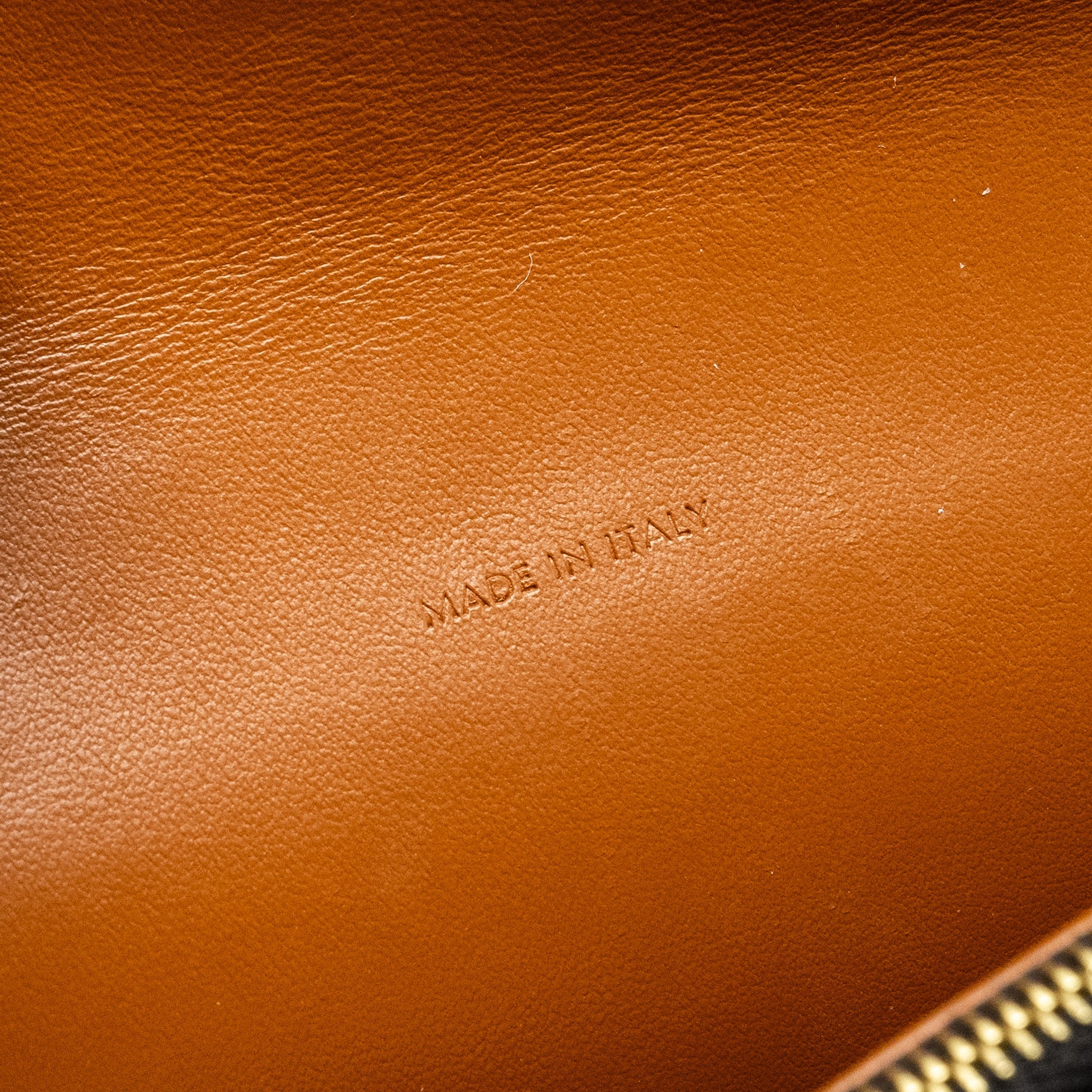 CELINE WALLET ON STRAP TRIOMPHE CANVAS /SMOOTH LAMBSKIN TAN GHW