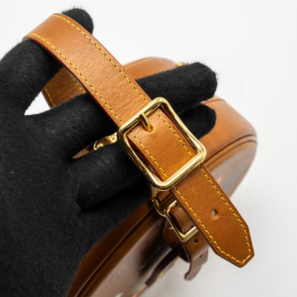 LOUIS VUITTON BOITE CHAPEAU BAG LIMITED EDITION GRACE CODDINGTON CATOGRAM PETIT CALFSKIN BROWN GHW