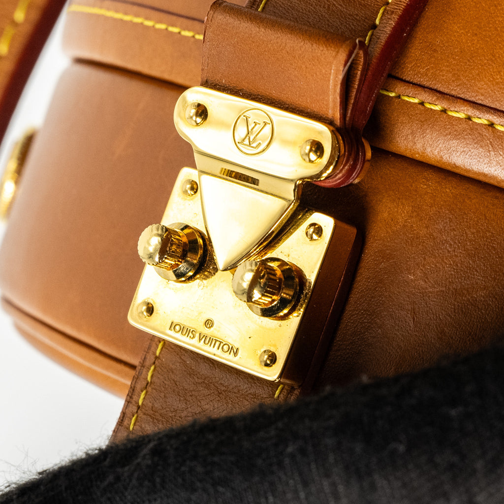 LOUIS VUITTON BOITE CHAPEAU BAG LIMITED EDITION GRACE CODDINGTON CATOGRAM PETIT CALFSKIN BROWN GHW