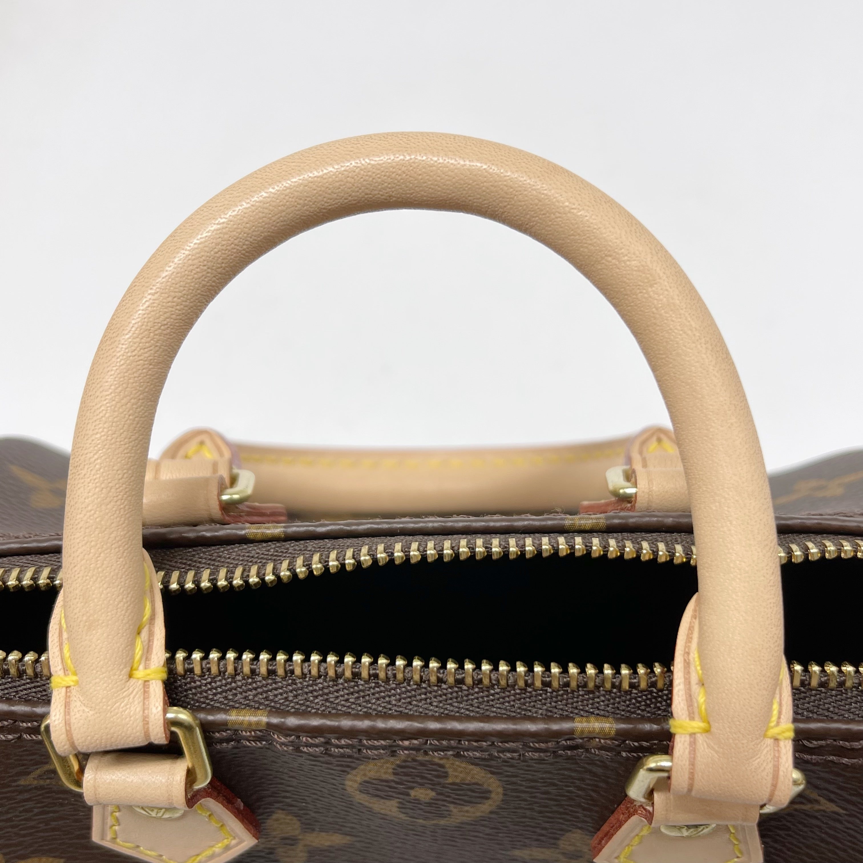 LOUIS VUITTON NANO SPEEDY MONOGRAM CANVAS