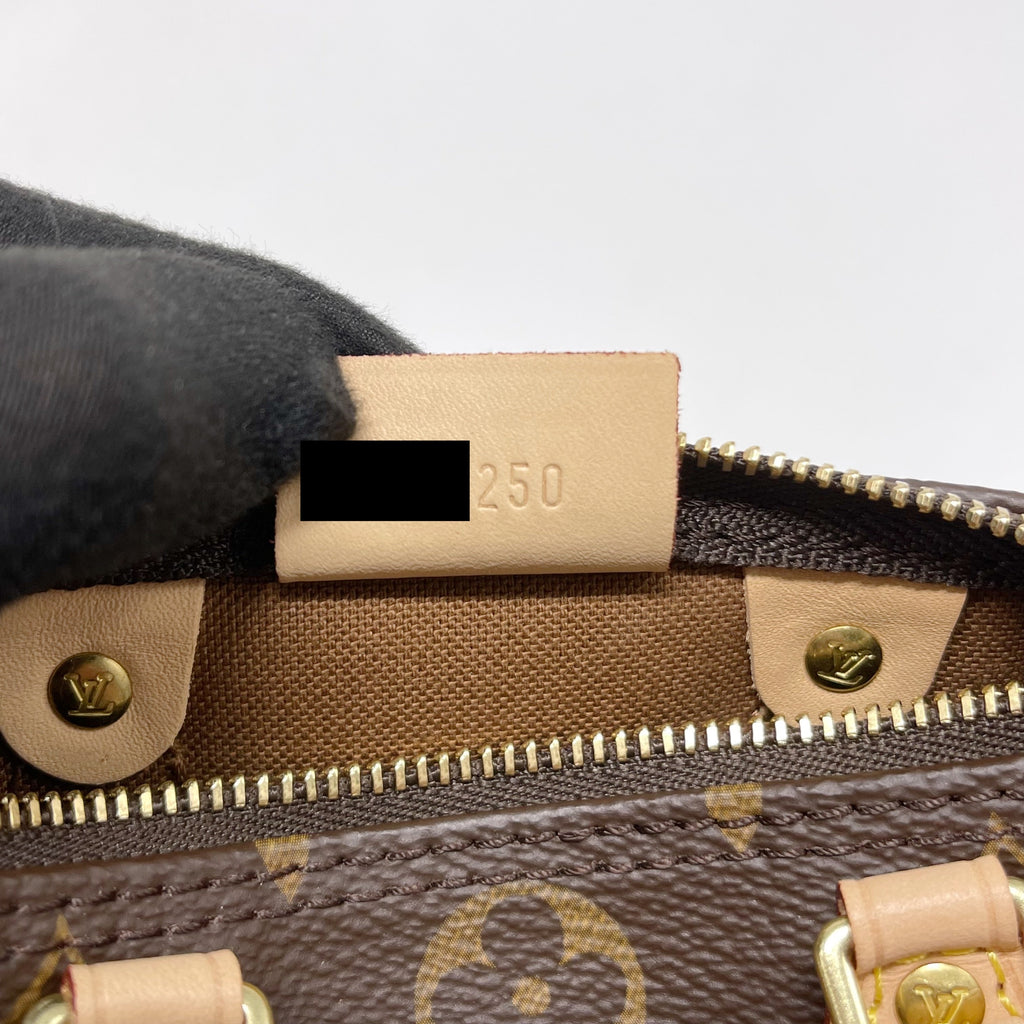 LOUIS VUITTON NANO SPEEDY MONOGRAM CANVAS